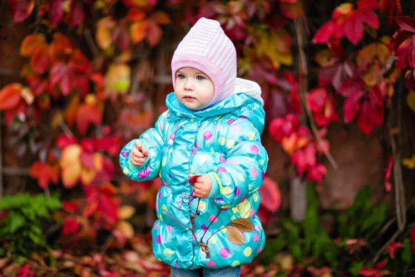 Fetiță foarte drăguță în jacheta albastră pe fundalul re — Fotografie, imagine de stoc