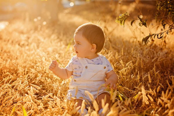 Pequeño adorable bebé regordete sentado en un mono blanco en el campo en las espiguillas en los cálidos rayos del sol poniente en el verano, mirando a un lado —  Fotos de Stock