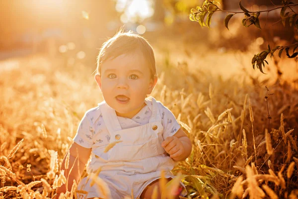 Kleine schattig mollig babyjongen zitten in een witte jumpsuit in het veld in de spikelets in de warme stralen van de ondergaande zon in de zomer — Stockfoto