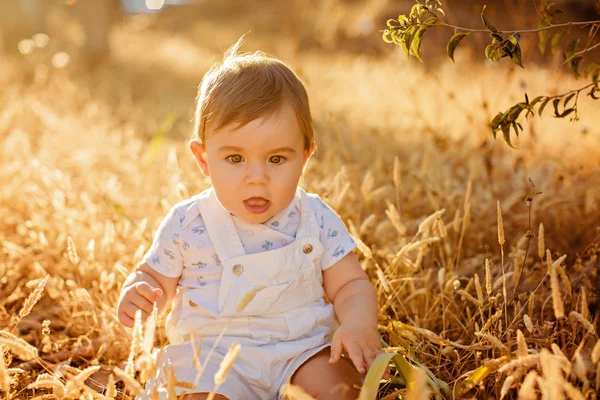 Kleine schattig mollig babyjongen zitten in een witte jumpsuit in het veld in de spikelets in de warme stralen van de ondergaande zon in de zomer — Stockfoto