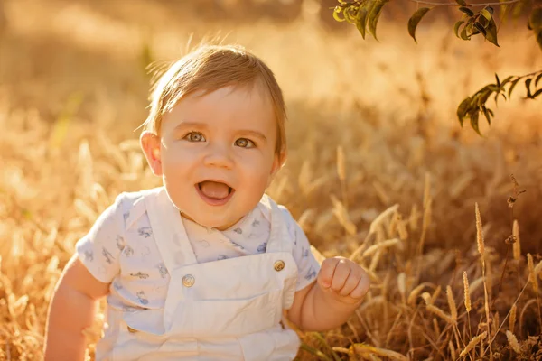 Little adorable chubby baby boy sitting in a white jumpsuit in the field in the spikelets in the warm rays of the setting sun in the summer, fun smiles — Stock Photo, Image