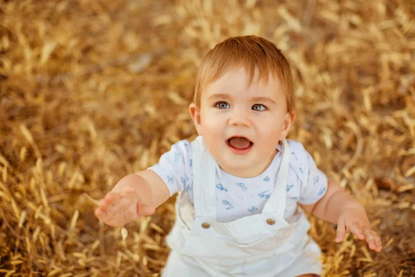 Micul băiețel adorabil dolofan care stă într-un salopetă albă pe câmp în spikelets în razele calde ale soarelui apusului în timpul verii, se uită în sus — Fotografie, imagine de stoc