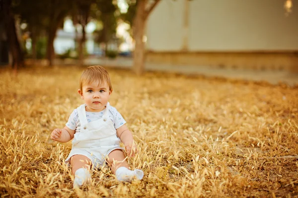 Kleine schattig mollig babyjongen zitten in een witte jumpsuit in het veld in de spikelets in de warme stralen van de ondergaande zon in de zomer — Stockfoto