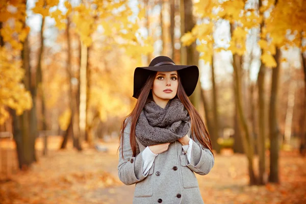 Retrato de una joven morena muy hermosa con el pelo liso brillante en un abrigo gris y sombrero negro sobre un fondo del paisaje otoñal en el parque — Foto de Stock