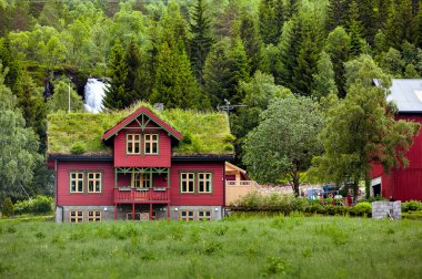Bulut içinde Norveç'te çatıda ot ile güzel ahşap ev