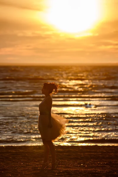 Die Silhouette eines schlanken brünetten Mädchens in üppigem kurzen Rock, stan — Stockfoto
