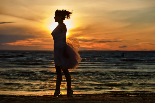 The silhouette of a slim brunette girl in lush short skirt, stan — Stock Photo, Image