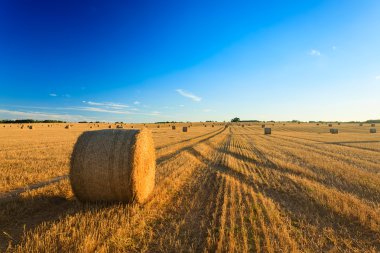 Sarı balya saman güneşli alan.