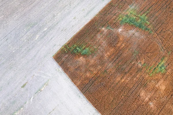 Letecký Shora Dolů Dron Záběr Zajímavého Vzoru Venkově Pole Obilí — Stock fotografie