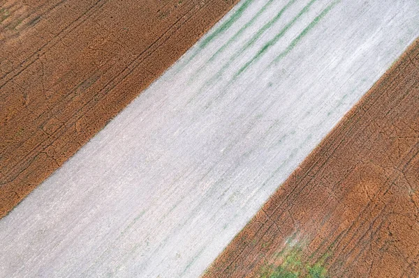 Légi Felülről Lefelé Drónfelvétel Érdekes Mintát Egy Vidéki Szántóföldi Növénytermesztési — Stock Fotó