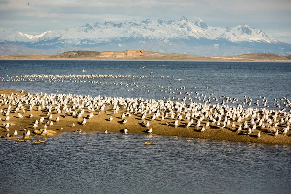 Belo cenário na cidade de Ushuaia, no sul da Argentina, Patagônia — Fotografia de Stock