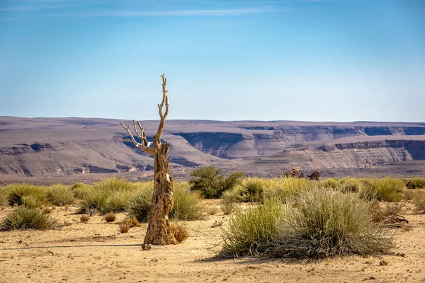 Paisajes del desierto en el sur de Namibia —  Fotos de Stock