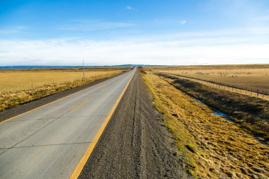 Şili Patagonya boş yol