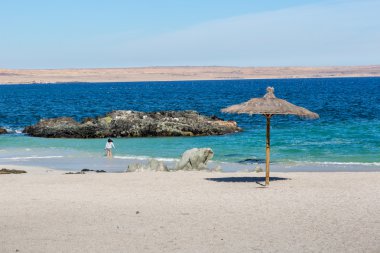 Kuzey Şili'deki güzel manzara