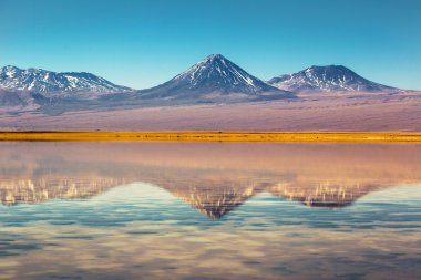 Atacama Çölü'nde güzel senaryo