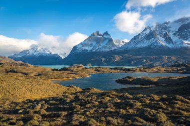 Beautiful landscape in Torres del Paine clipart