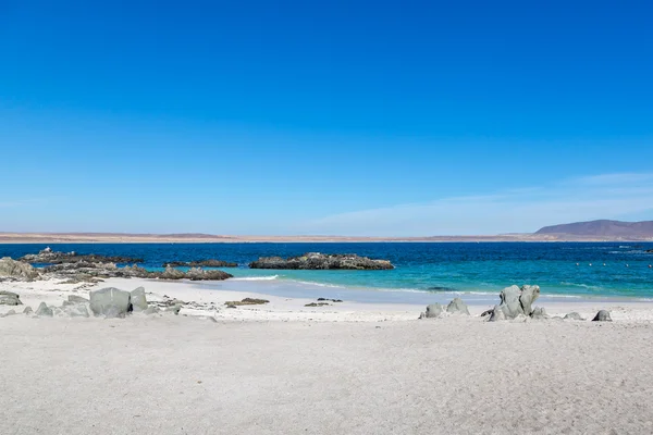 Bel paesaggio nel nord del Cile — Foto Stock