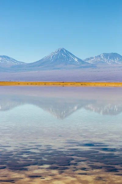 Beau scénario dans le désert d'Atacama — Photo