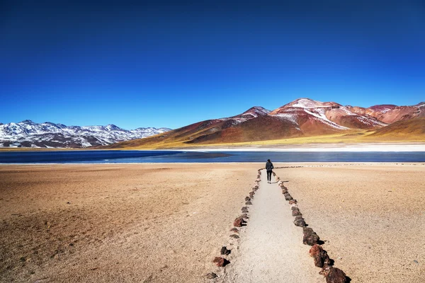 Tourist enjoying landscape of Atacama Desert — Stock Photo, Image