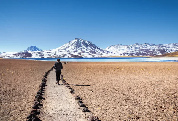 Touristen genießen Landschaft — Stockfoto