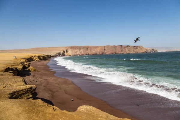 Poušť a moře v oblasti Paracas — Stock fotografie