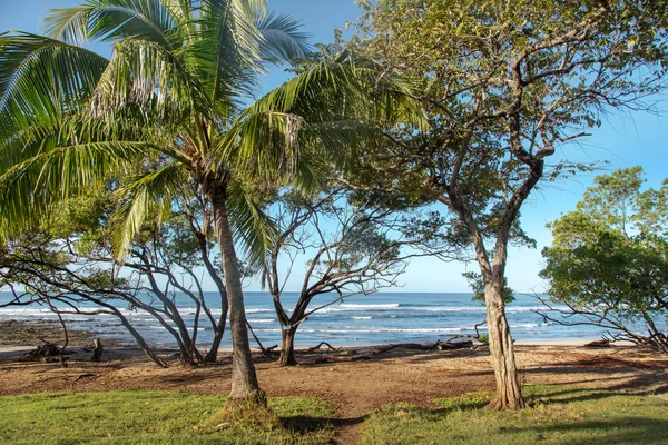 Praia vazia no céu azul dia — Fotografia de Stock