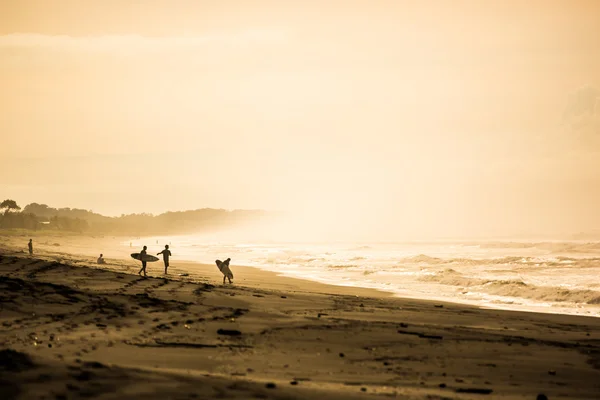 Grupo de surfistas caminhando para o mar — Fotografia de Stock