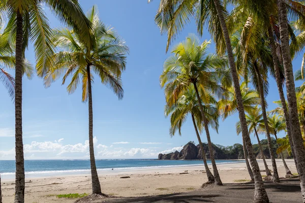 Beautiful sky day in Playa Samara — Stock Photo, Image