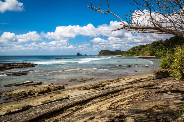 Bonito paisaje de playa —  Fotos de Stock