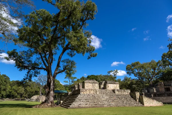 Mayan ruins of Copan in sky day — Stock Photo, Image