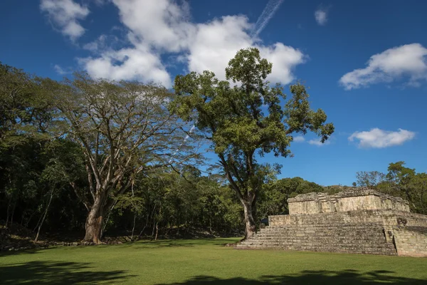 Ruínas maias de Copan no dia do céu — Fotografia de Stock