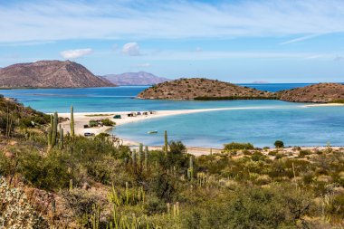 Beautiful beach in Cortez Sea