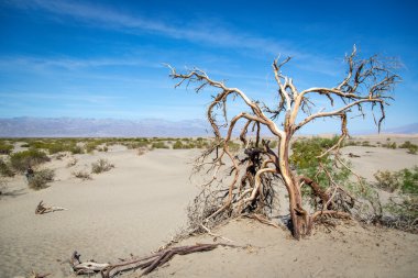 Ön planda güzel senaryo kum oluşumları