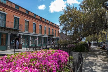 Savannah sıcak gün zevk turizm