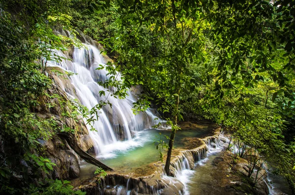 Vízesés mély erdő Palenque — Stock Fotó