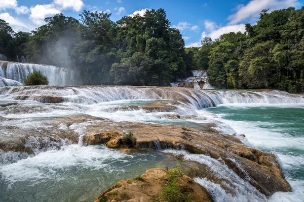 Waterfall in deep forest of Palenque — Stock Photo, Image