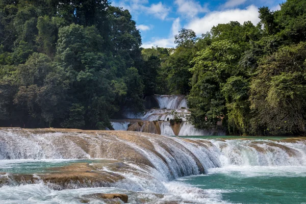 Waterfall in deep forest of Palenque — Stock Photo, Image