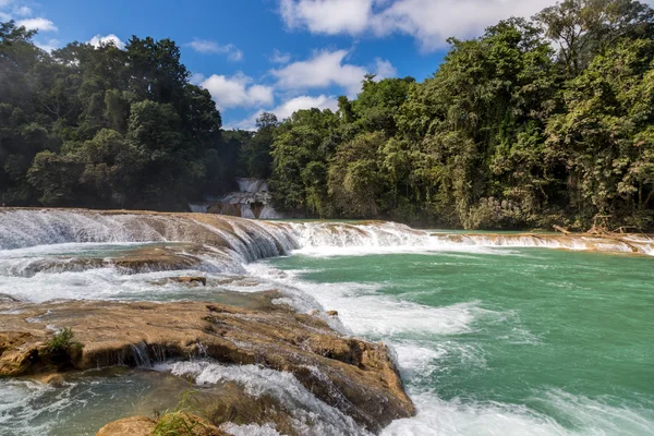 Cascade dans la forêt profonde de Palenque — Photo