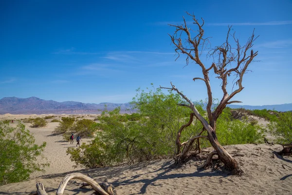 A Death Valley-ben a helyiek és a turisták csoportja — Stock Fotó