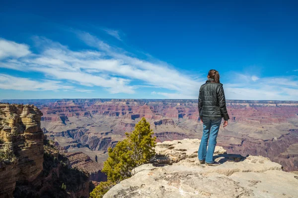 Woman observing huge canyon — Stock Photo, Image