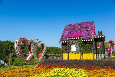 Miracle Garden Park'ta güneşli bir gün