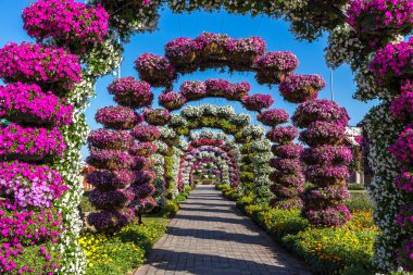 Miracle Garden Park'ta güneşli bir gün