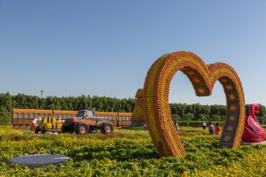 Miracle Garden Park'ta güneşli bir gün