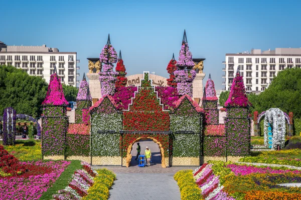 Miracle Garden Park en el centro de Dubai —  Fotos de Stock