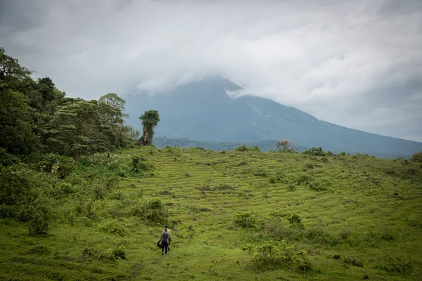 Grupo de turistas haciendo Gorila Safari — Foto de Stock