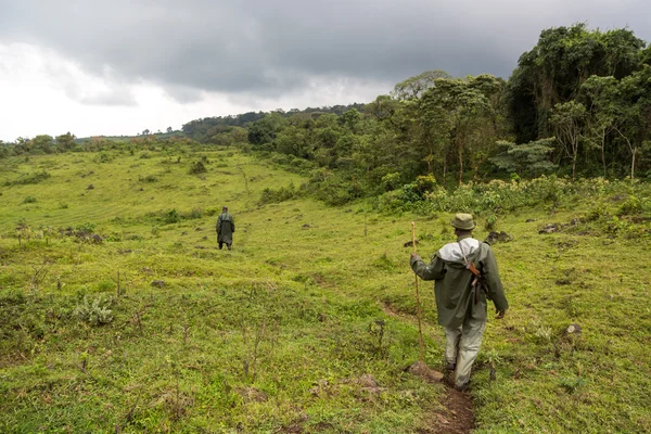 Rangeři hlídkovat v národním parku Virunga — Stock fotografie