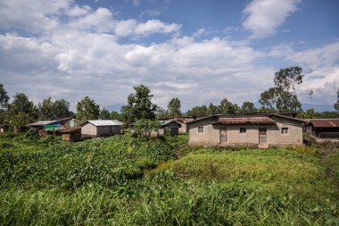 Simple houses near by Goma City clipart