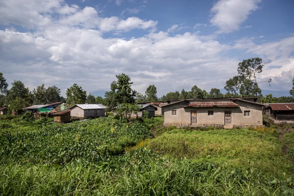 Simple houses near by Goma City