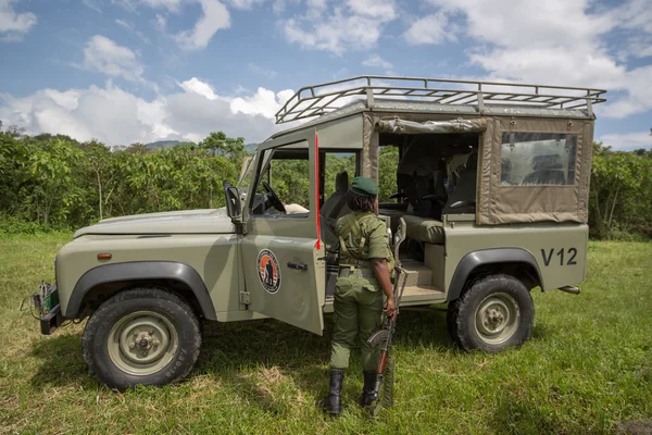 army soldier in safari car