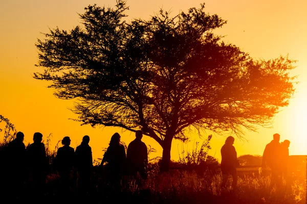 Silhuetter av mennesker som går i solnedgang – stockfoto